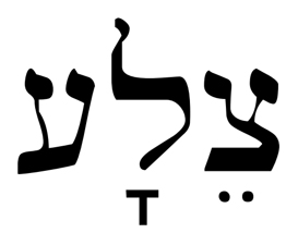 4b85a7a3bb1d14a05c07dad5c8a1b5fe_1738866442_7124.jpg 4b85a7a3bb1d14a05c07dad5c8a1b5fe_1738866442_7124.jpg