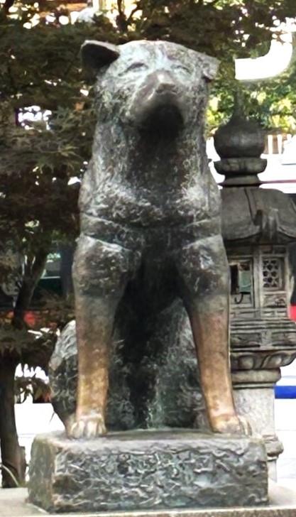 d46a5f3773d18272769cab3ae34a69df_1749594132_8426.jpg d46a5f3773d18272769cab3ae34a69df_1749594132_8426.jpg