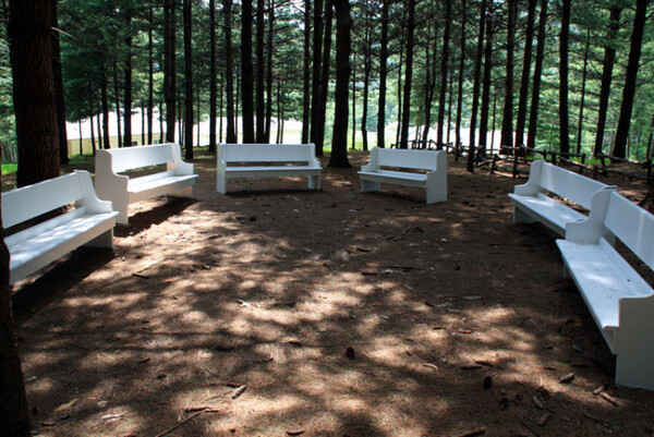 ecaff9f627f98482022b87d2d2439b21_1753466281_9491.jpg ecaff9f627f98482022b87d2d2439b21_1753466281_9491.jpg