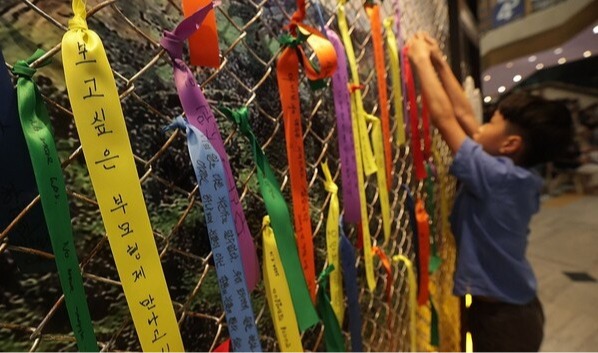 965b815d26b6efcdbd1605e5d15c464e_1767207238_3231.jpg 965b815d26b6efcdbd1605e5d15c464e_1767207238_3231.jpg