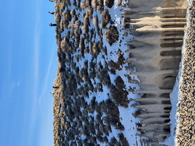 a748ae759931f9cd5ffc40cb31a82486_1764716443_929.jpeg a748ae759931f9cd5ffc40cb31a82486_1764716443_929.jpeg