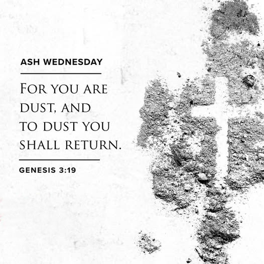 5136a7cf12eacf95bd25cdd1c3fbfc65_1771451995_0386.jpg 5136a7cf12eacf95bd25cdd1c3fbfc65_1771451995_0386.jpg